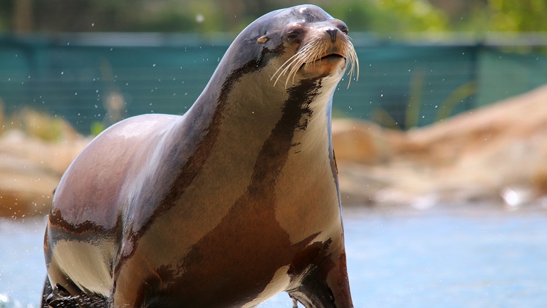 The Yorkshire Wildlife Park